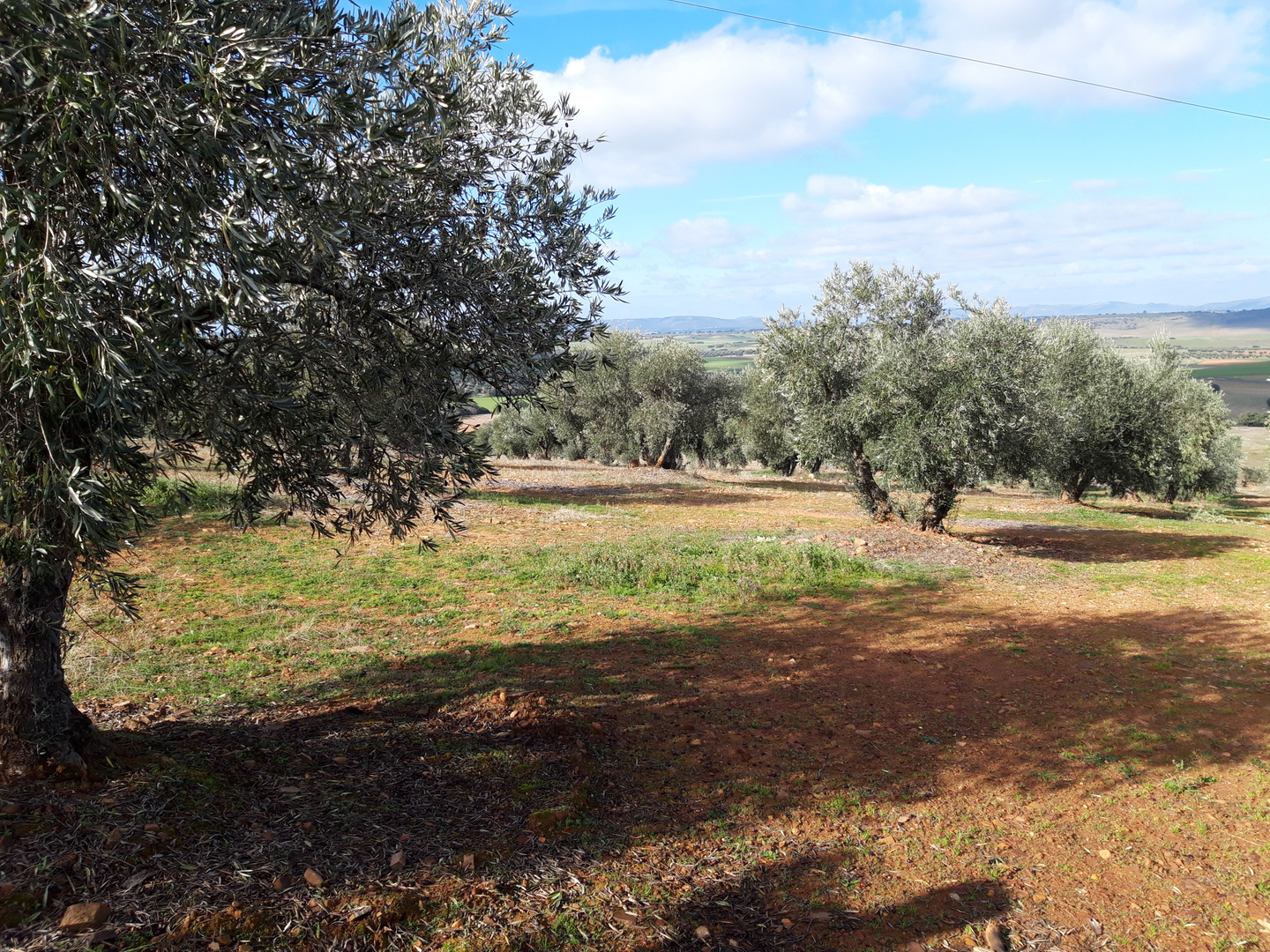 Residential for sale in Corral de Calatrava