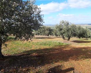 Residential for sale in Corral de Calatrava