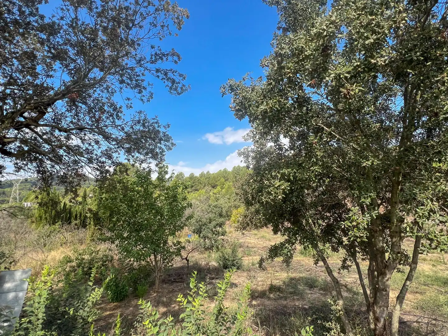 Finca rústica en venda en Les Borges del Camp amb Jardí privat, Traster i Piscina