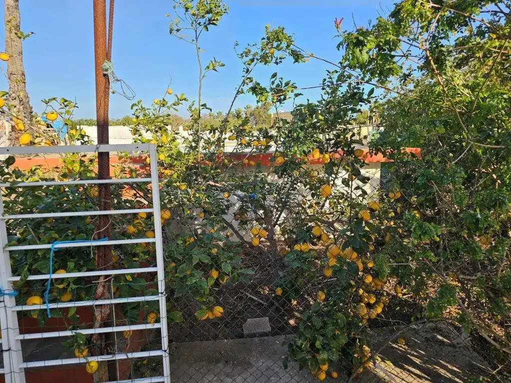 Finca rústica en venda a El Marenyet
