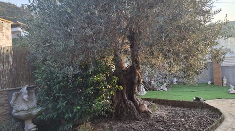 Foto 3 de Casa o xalet en venda a El Pont de Vilomara i Rocafort, Barcelona