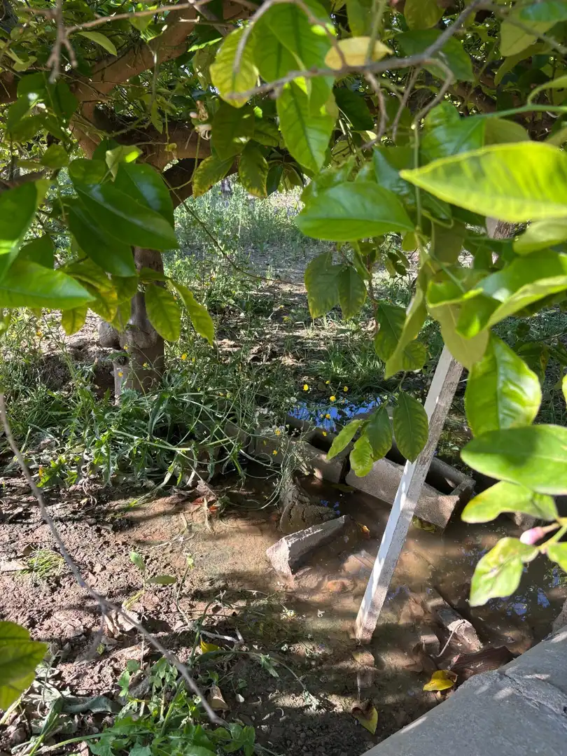 Terreny en venda a Monteagudo