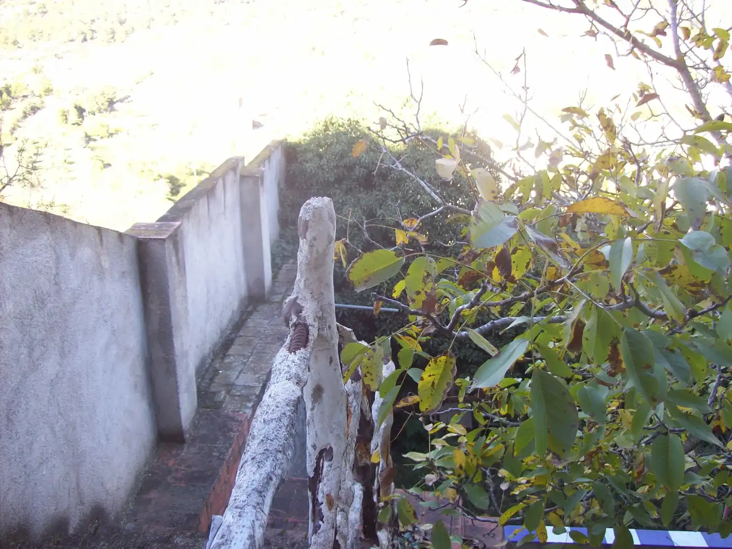 Houses for sale in Suñe, La Fatarella