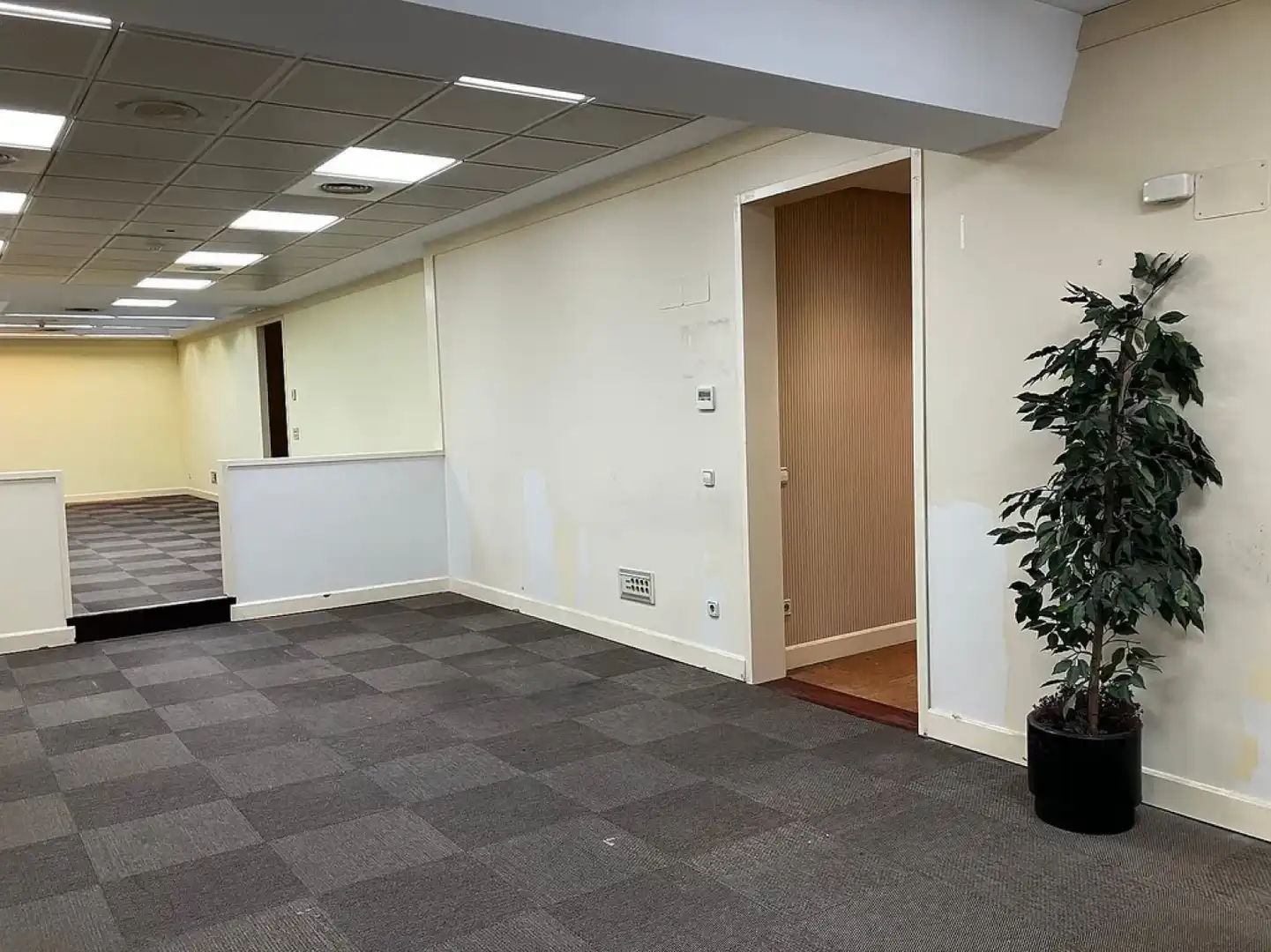 Büro mit Aufzug zur Miete in Oviedo - MARQUES DE PIDAL, imagen 15