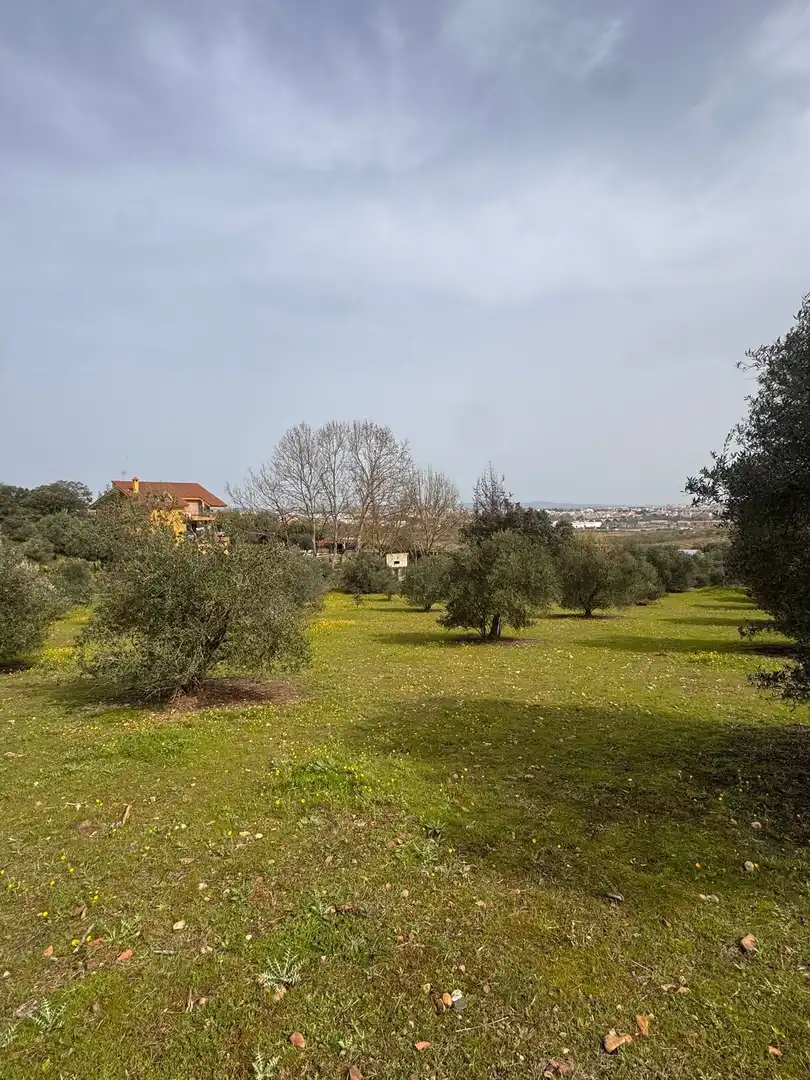 Casa o xalet en venda en Mérida amb Aire condicionat, Calefacció i Jardí privat