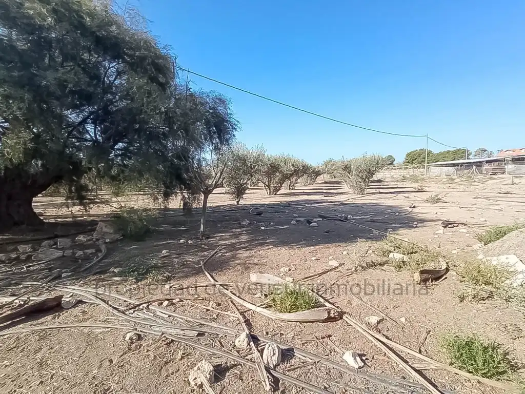 Country homes for sale in Lorca
