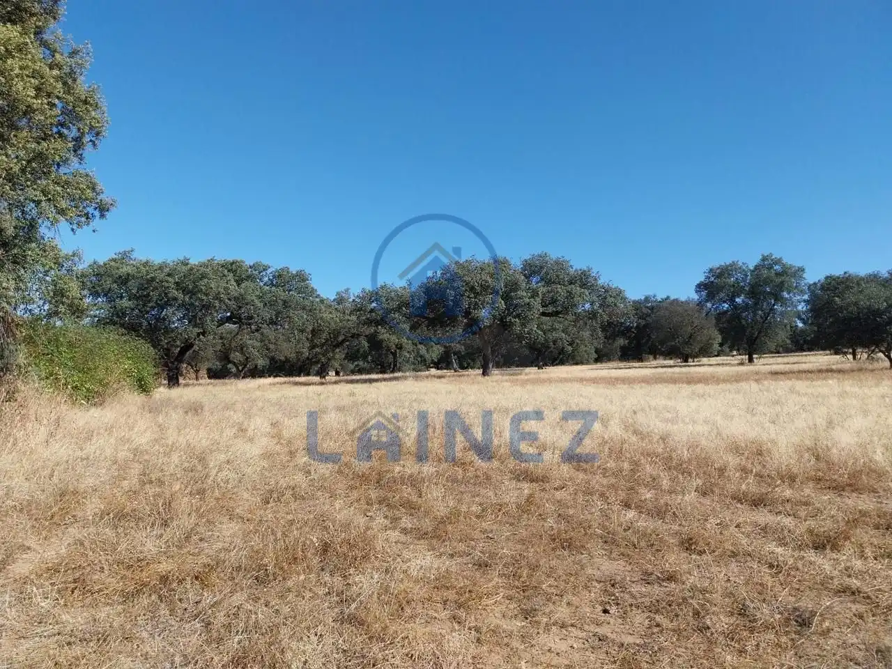 Lands and plots for sale in Fuente Obejuna, imagen 15