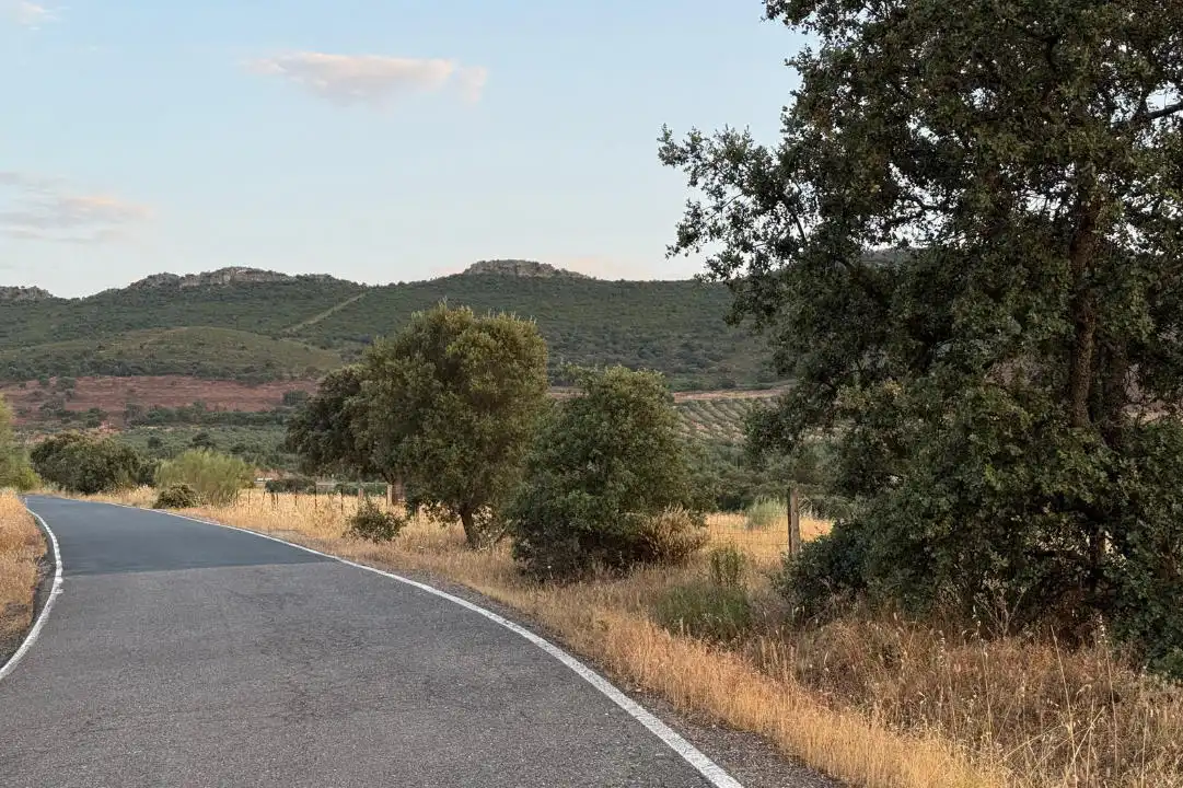 Land for sale in Casco Antiguo