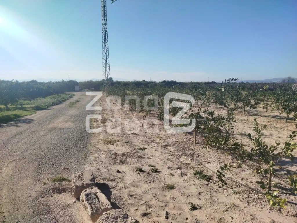 Country house for sale in Algemesí, imagen 2