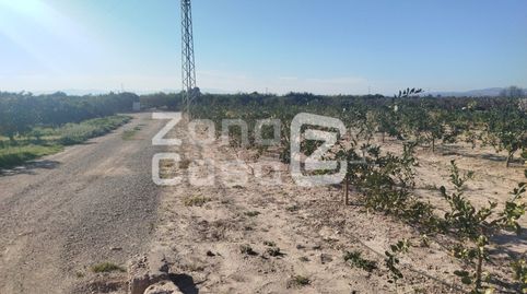 Finca Rustica  Venta Algemesí, imatge 2