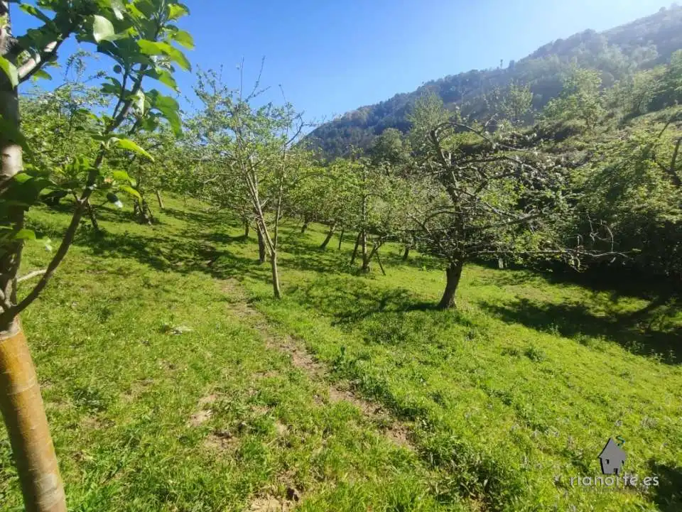 Terreno rustico in vendita a San Martín del Rey Aurelio, imagen 10