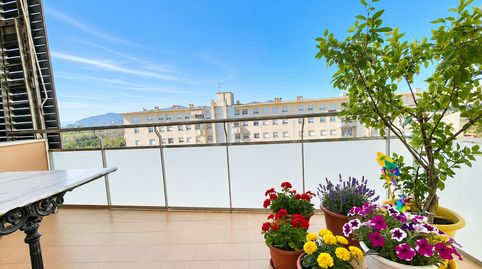 Foto 2 de Piso en venta en Ample, Molí de Vent - La Sauleda, Palafrugell