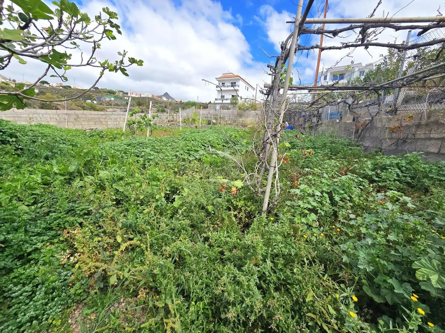 Casa o xalet en venda en Arona amb Terrassa