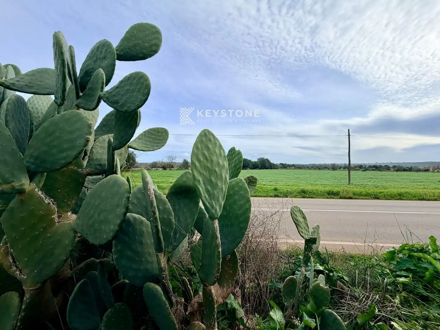 Finca rústica en venta en Campos con Terraza