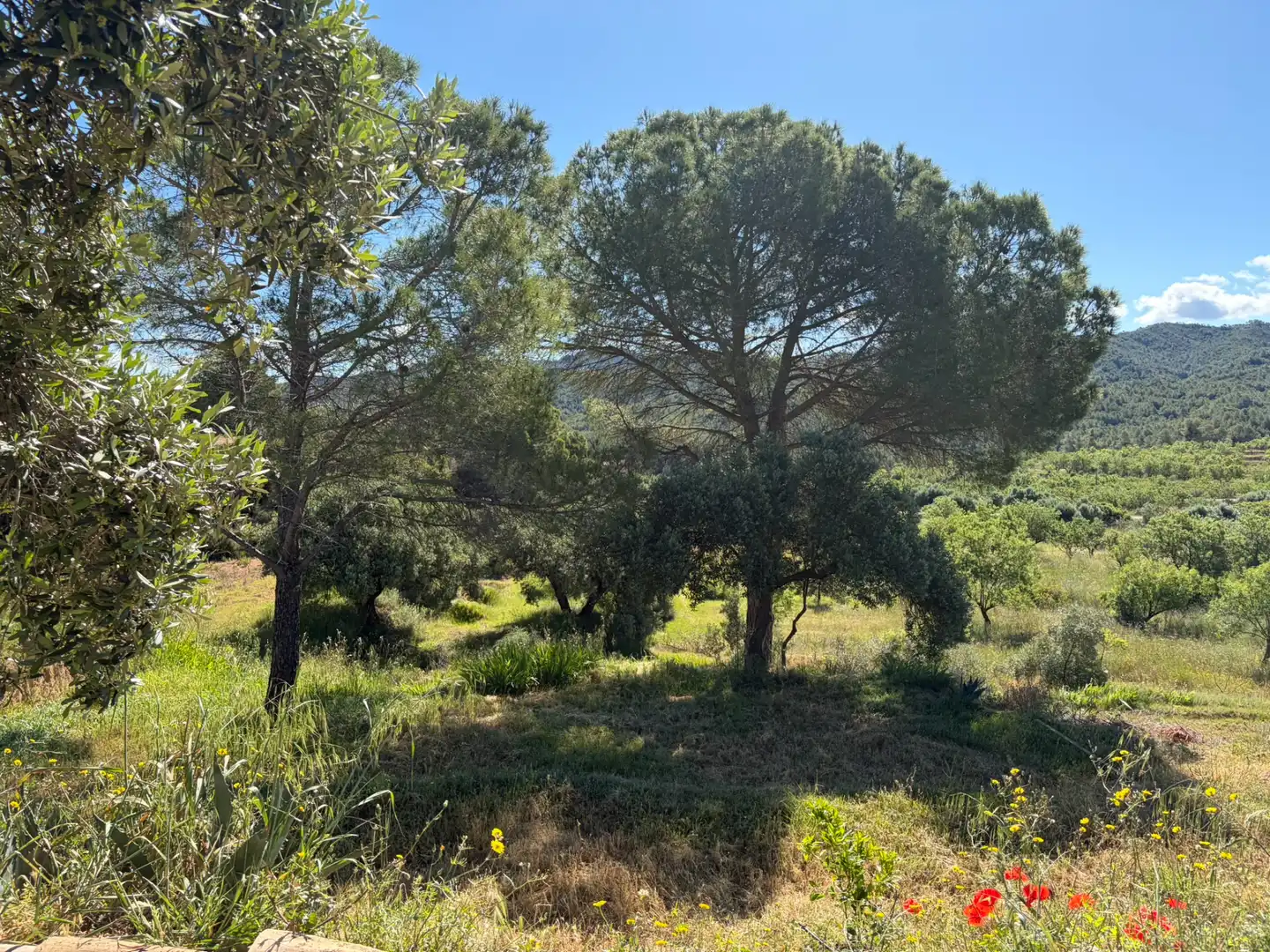 Finca rústica en venda en Ascó amb Aire condicionat, Calefacció i Piscina