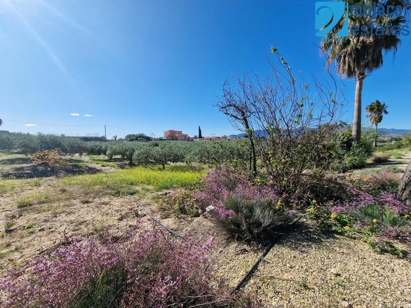 Xalet amb jardí en venda a Vera Ciudad, imagen 8