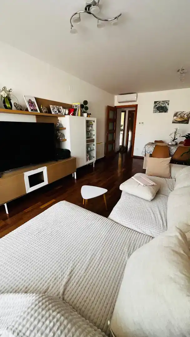 Living room of Flat for sale in Vilagrassa  with Air Conditioner, Parquet flooring and Storage room