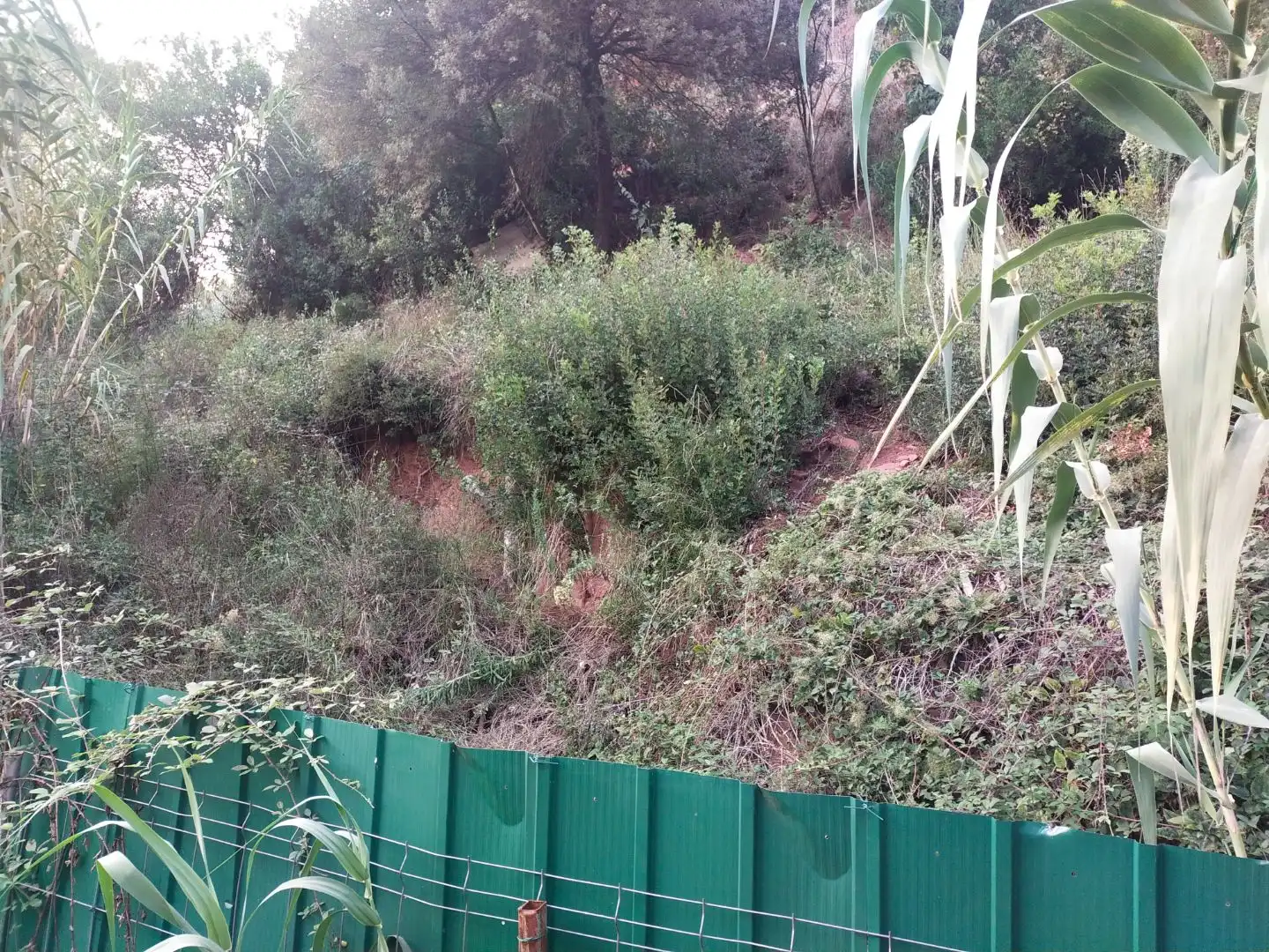 Terreny residencial en venda a Roma 12, imagen 18