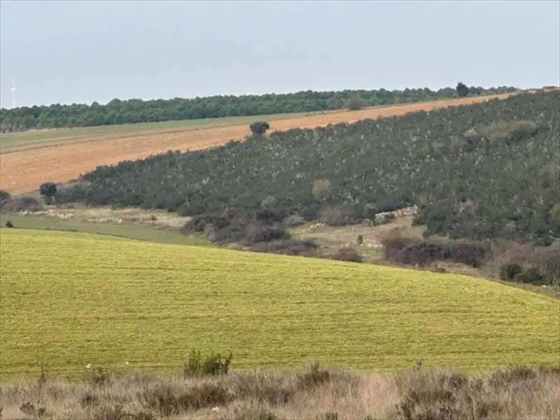 Terreny en venda a Santa Eufemia del Barco