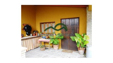 Foto 4 de Finca rústica en venda a Los Molares, Sevilla