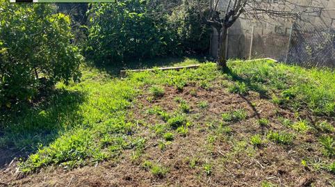 Foto 5 de Casa o chalet de alquiler en Lloret Verd - Els Pinars, Girona