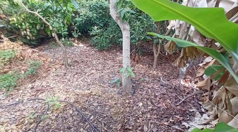 Photo 3 of Land for sale in Caleta de Vélez, Vélez-Málaga