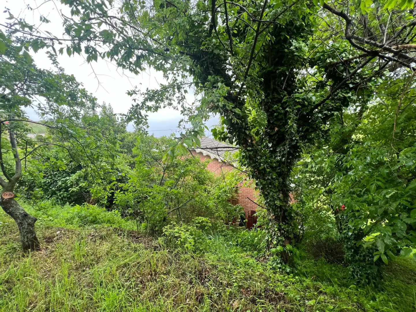 Casa o chalet en venta en Ocón con Calefacción y Jardín privado