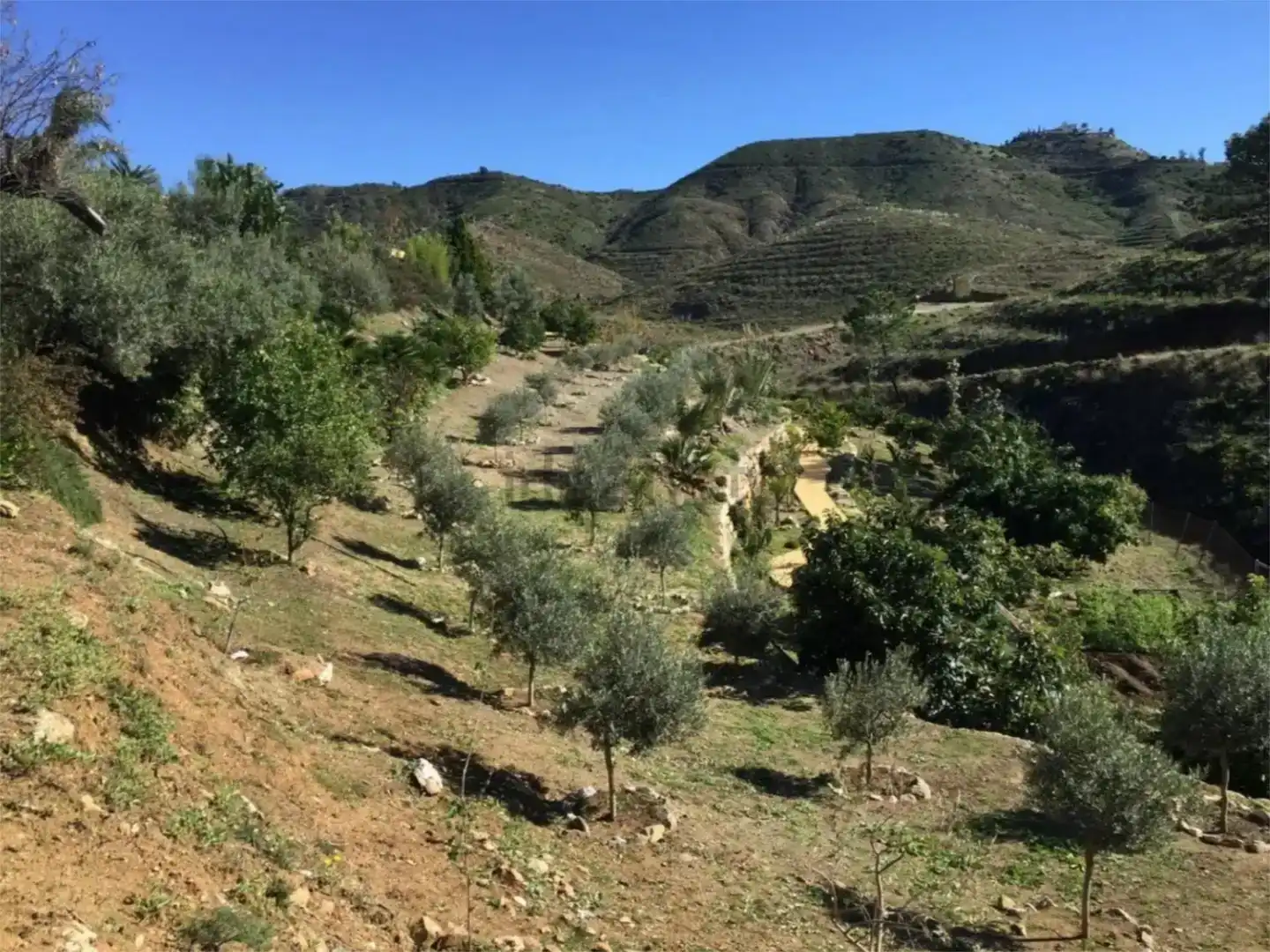 Finca rústica en venda en Ojén amb Aire condicionat i Piscina
