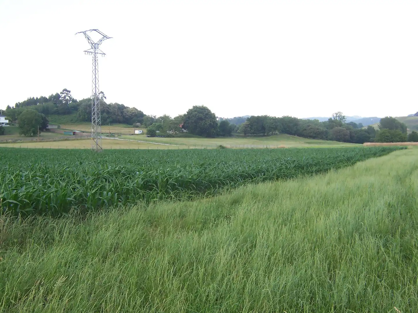 Finca rústica en venda en Marina de Cudeyo amb Jardí privat