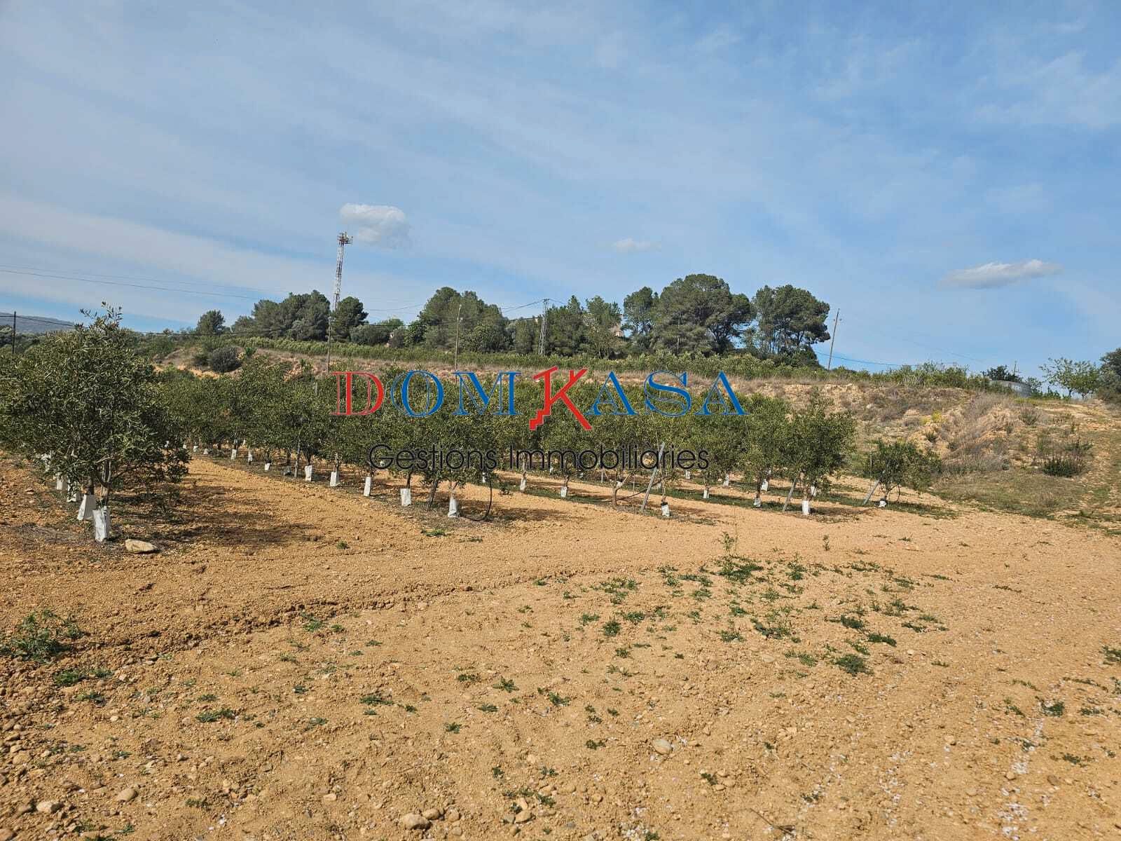 Nau industrial en venda en Xerta