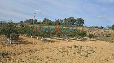 Granjas de crie y engorde, negocios de agricultura y casas.
