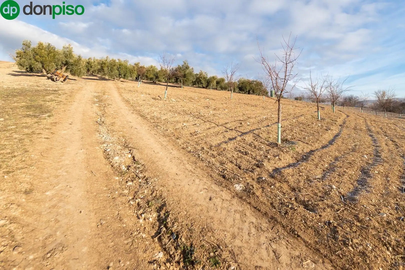 Finca rústica en venta en Calle CAGALONA, 3, Píñar