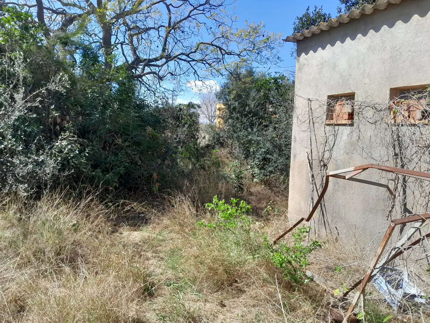Maison rustique à vendre à Pueblo, imagen 10