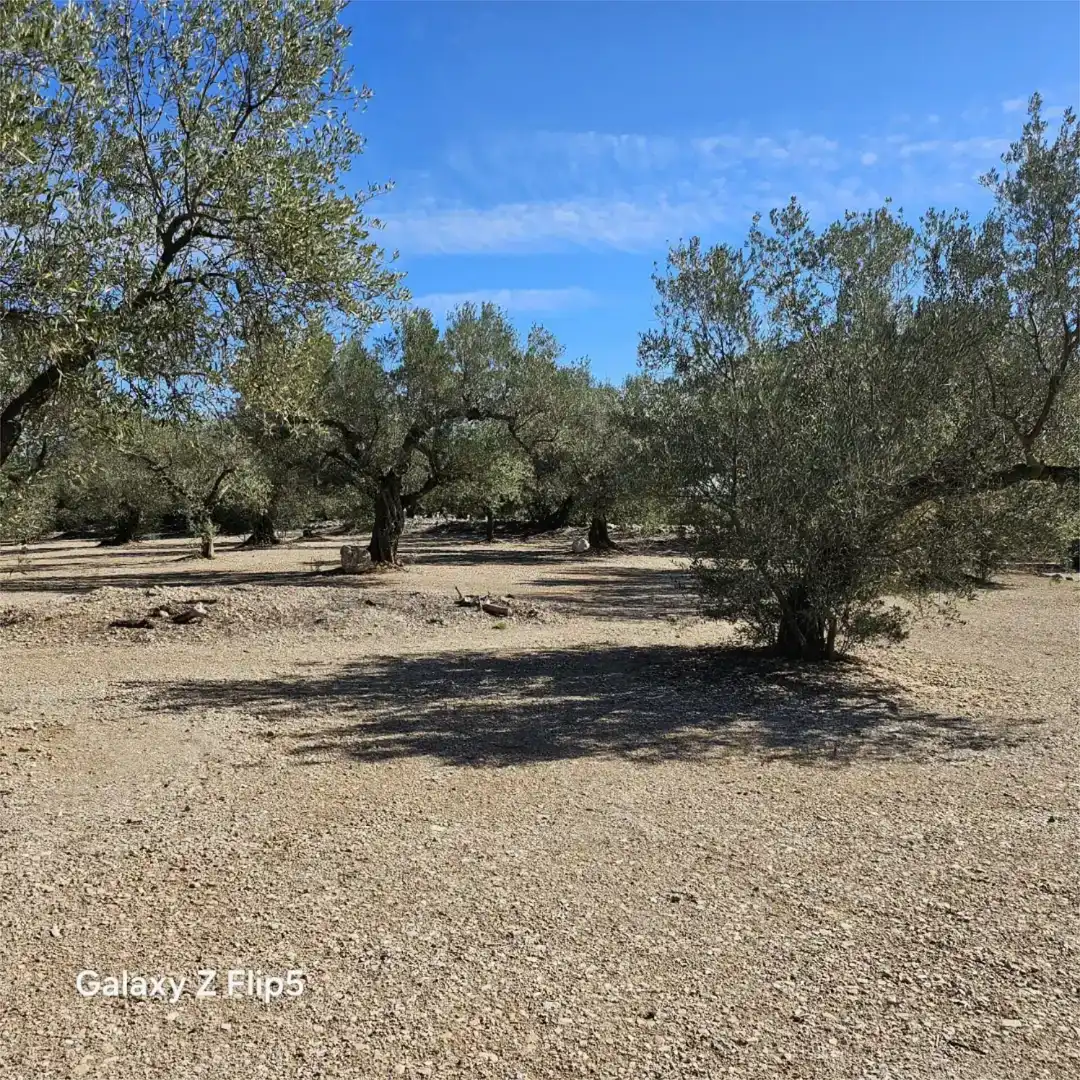 Grundstücke zum Verkauf in La Galera , Tarragona