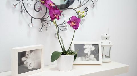 Foto 2 de Apartament de lloguer a Calle Fuego, Ayuntamiento - Barrio Alto, Cádiz