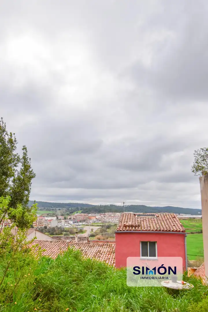 Vista exterior de Casa o chalet en venta en Artés con Jardín privado