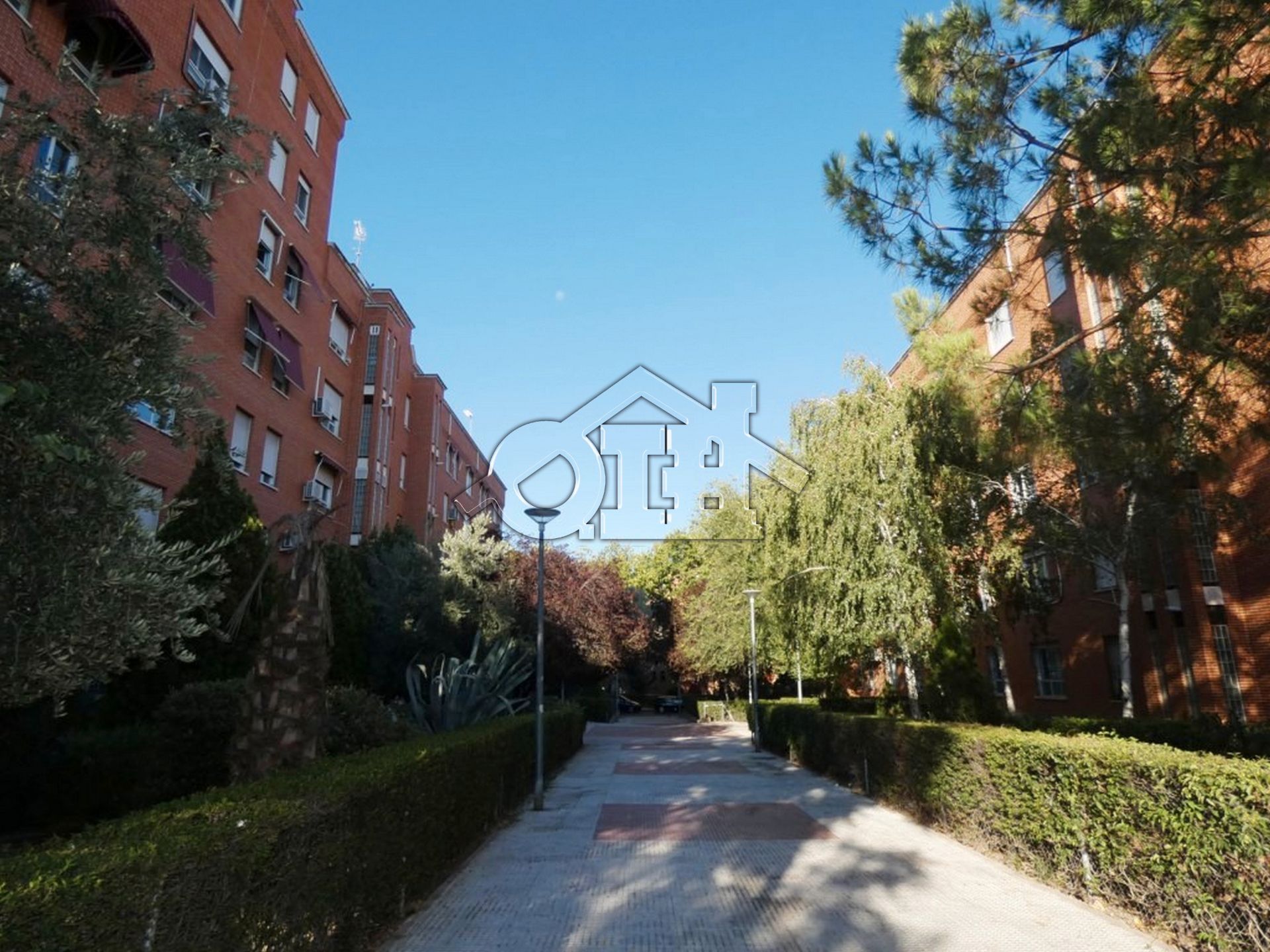 Piso en venta en Calle Cañada, Cañada - Mancha Amarilla