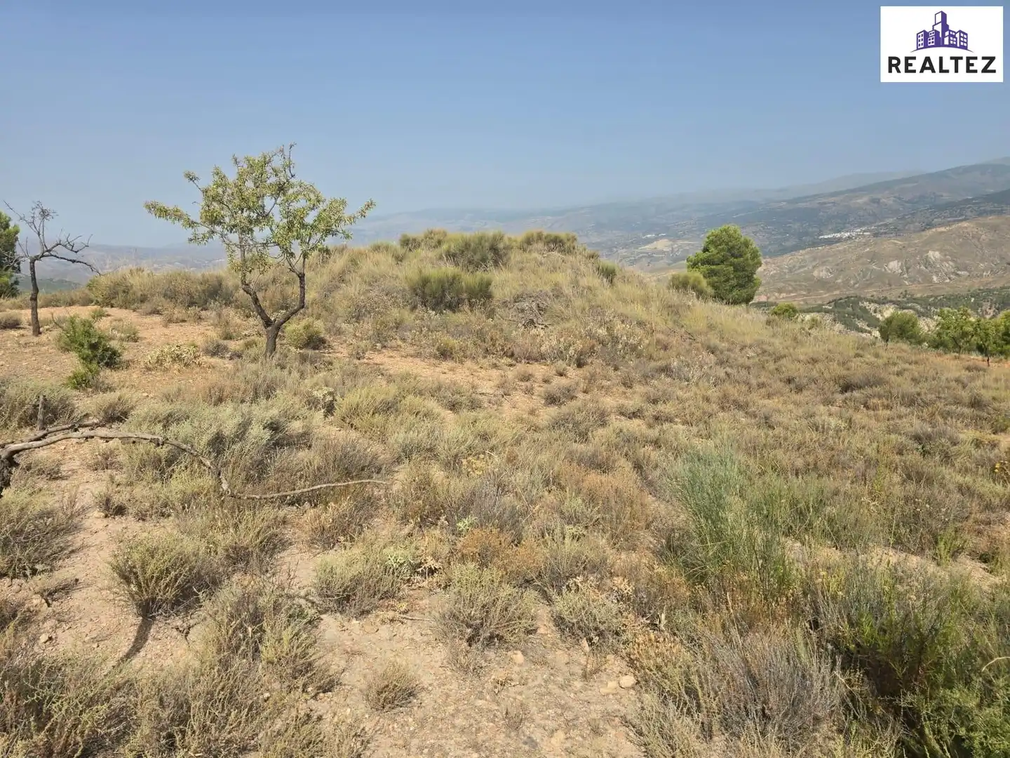 Terrain rustique à vendre à Alcolea, imagen 7