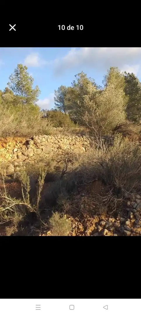 Terreny rústic en venda a de la masada, imagen 15