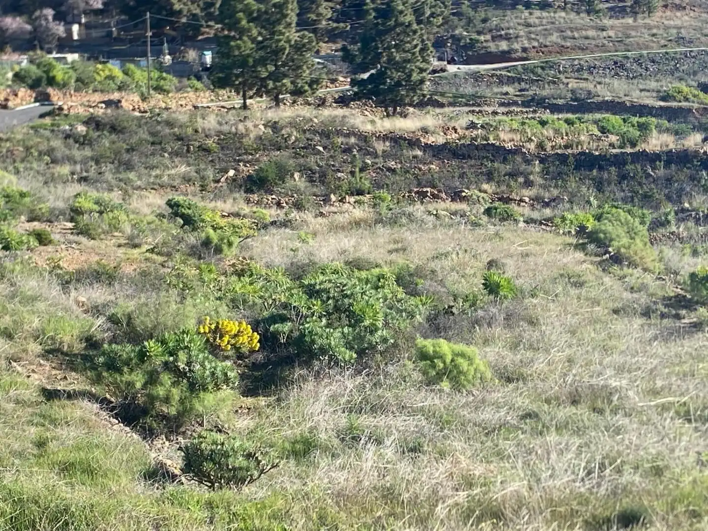 Land for sale in Granadilla de Abona