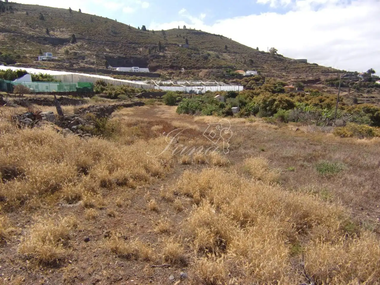 Finca rústica en venta en Tijarafe