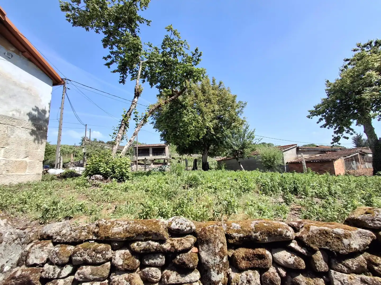 Finca rústica en venda en San Cristovo de Cea