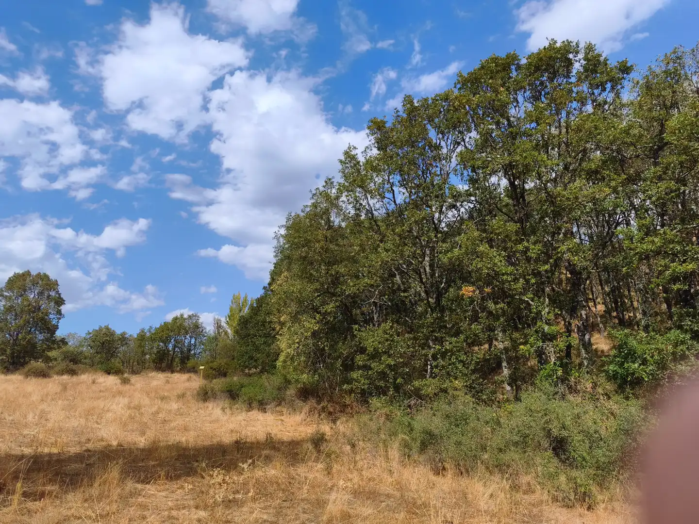 Terreno en venta en Piñuécar-Gandullas