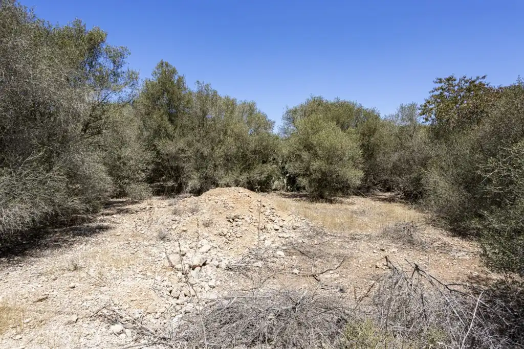 Terreno rustico in vendita a Sa Cabaneta