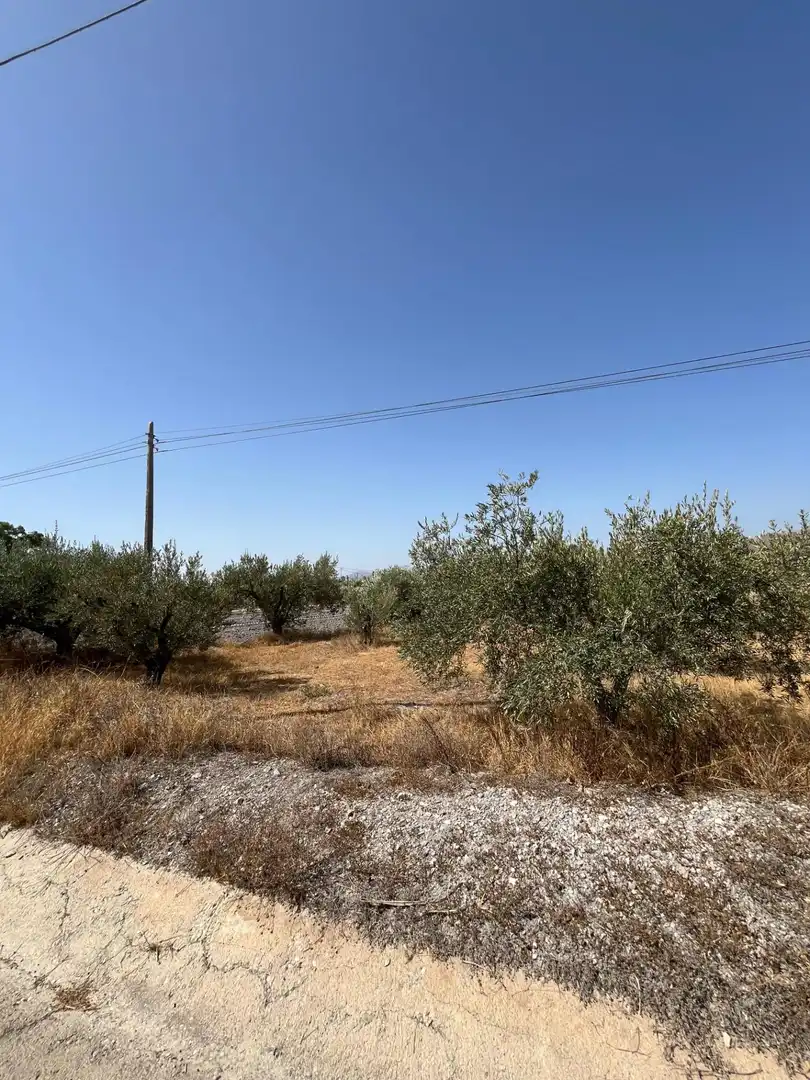 Rustikales Grundstück zum Verkauf in Camino TORRECILLA, imagen 5