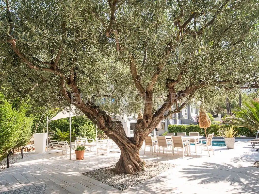 Jardí de Casa o xalet en venda en Benicasim / Benicàssim amb Calefacció, Terrassa i Piscina