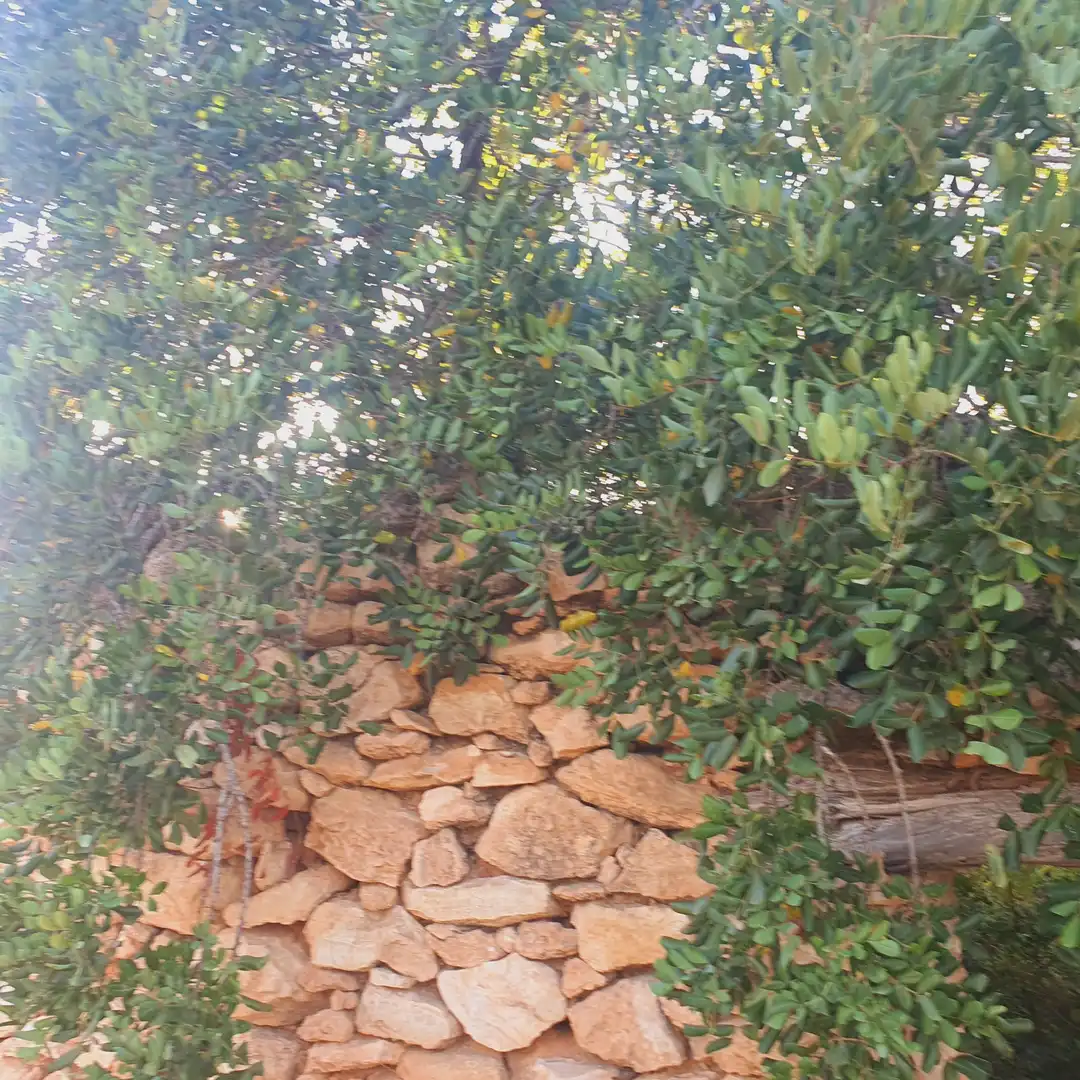 House for sale in Rasquera, imagen 21