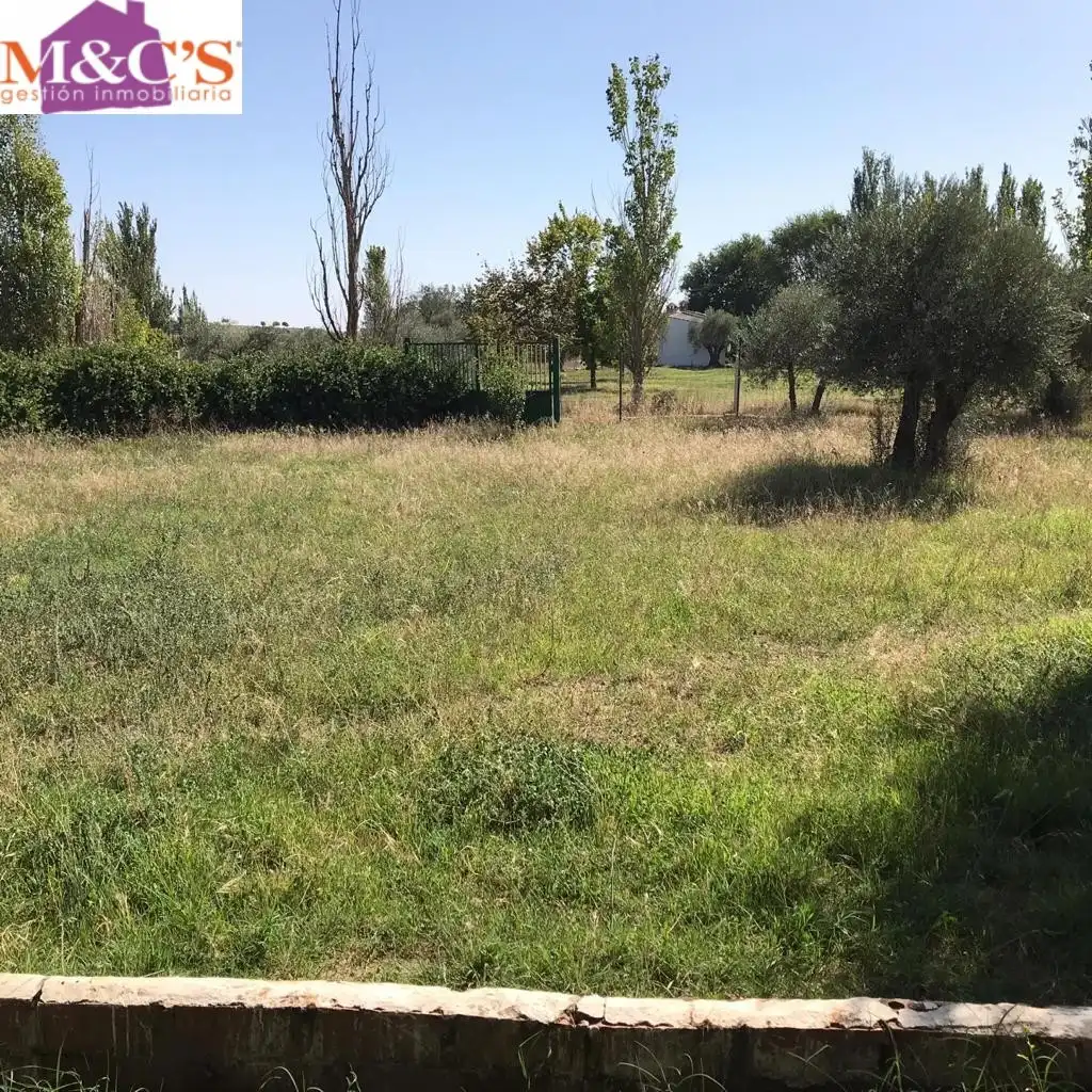 Rural land for sale in Almodóvar del Campo, imagen 3