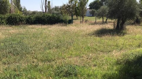 VENTA DE TERRENO REF. 3968, imagen 3