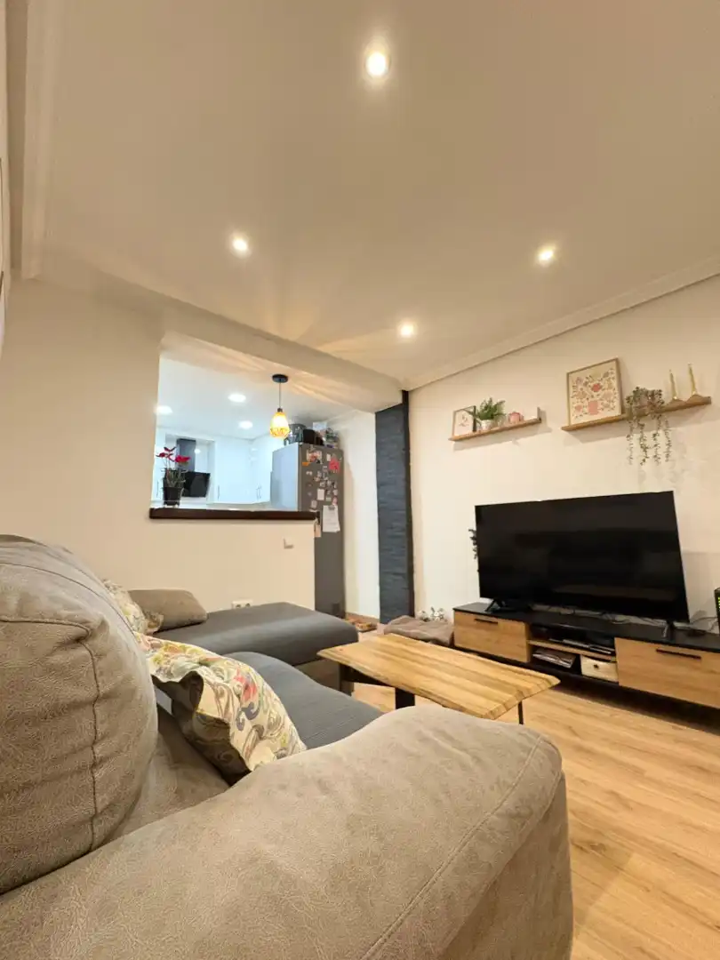 Sala d'estar de Pis en venda en Alicante / Alacant amb Aire condicionat, Moblat i Forn